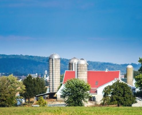 Pennsylvania Amish