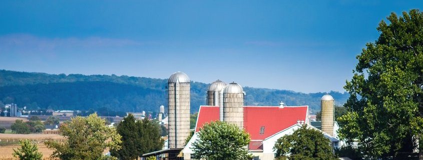 Pennsylvania Amish