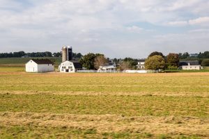Pennsylvania Amish