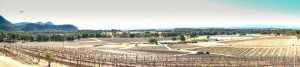 Hunter Valley wine region