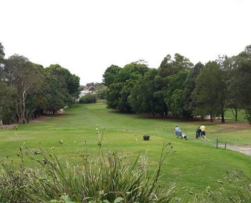 Bexley golf club sydney