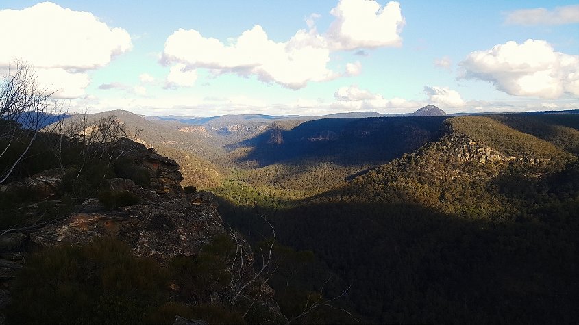 Ahearn Lookout