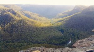 Ahearn Lookout