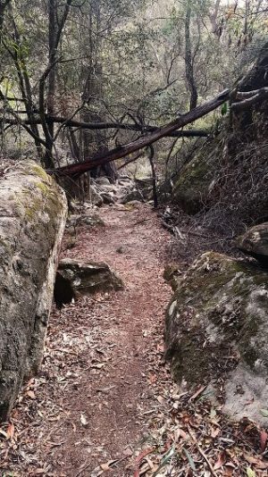 hiking mermaid pools tahmoor