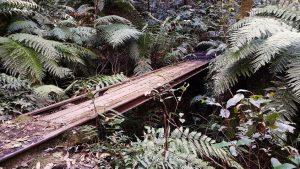 Mount piddington blue mountains