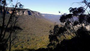 Mount piddington blue mountains