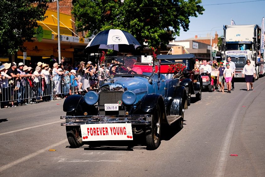 National Cherry Festival - Young